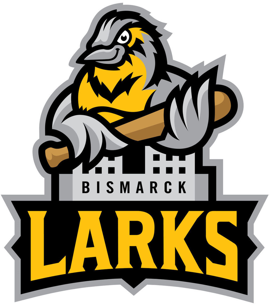 Bismarck Larks 2017-Pres Primary Logo iron on transfers for clothing